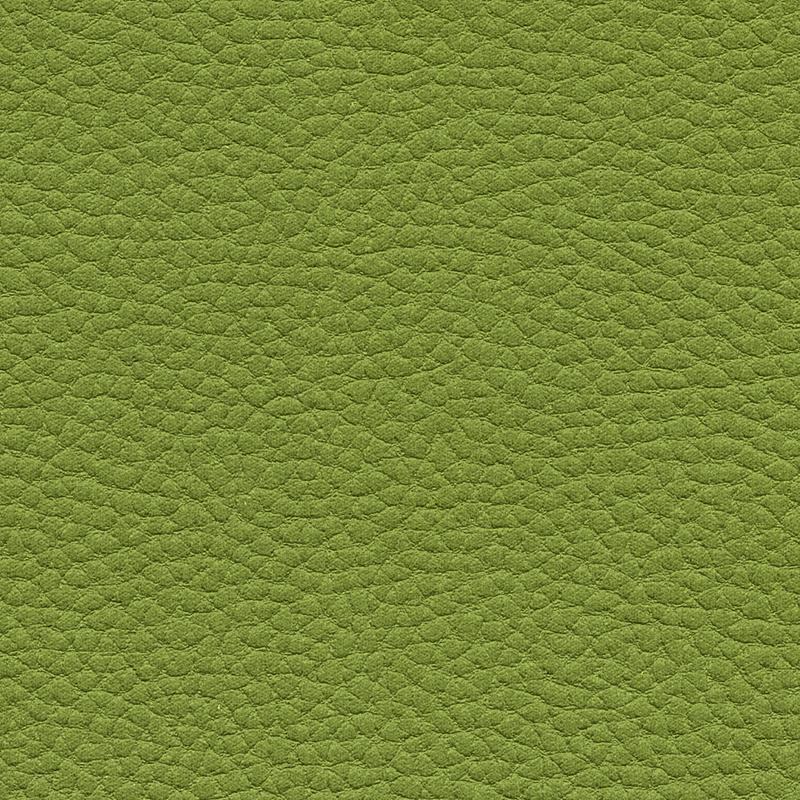 Atlantic Moss